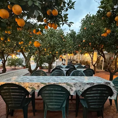 Quinta Jardim Palmeiras, T2 N 8 , Algoz Farm stay
