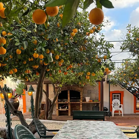 Quinta Jardim Palmeiras, T2 N 8 , Algoz Farm stay *