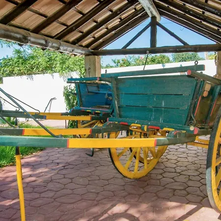 Quinta Jardim Palmeiras, T2 N 8 , Algoz *