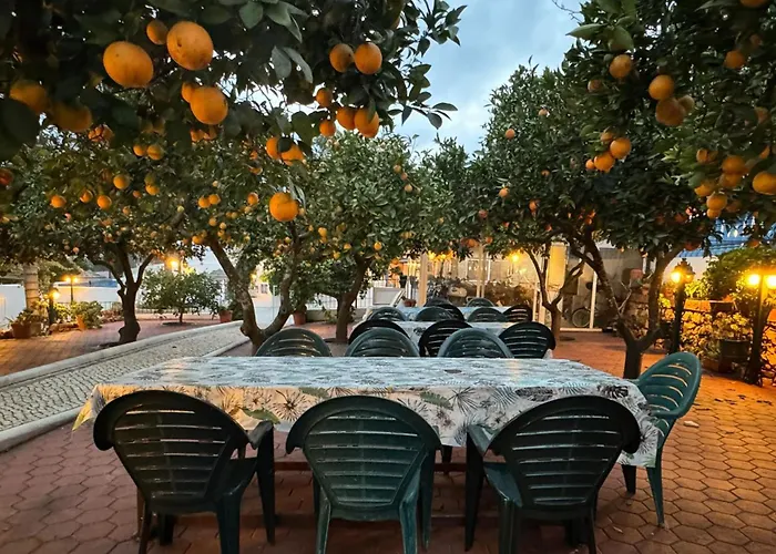 Quinta Jardim Palmeiras, T2 N 8 , Algoz Gospodarstwo agroturystyczne
