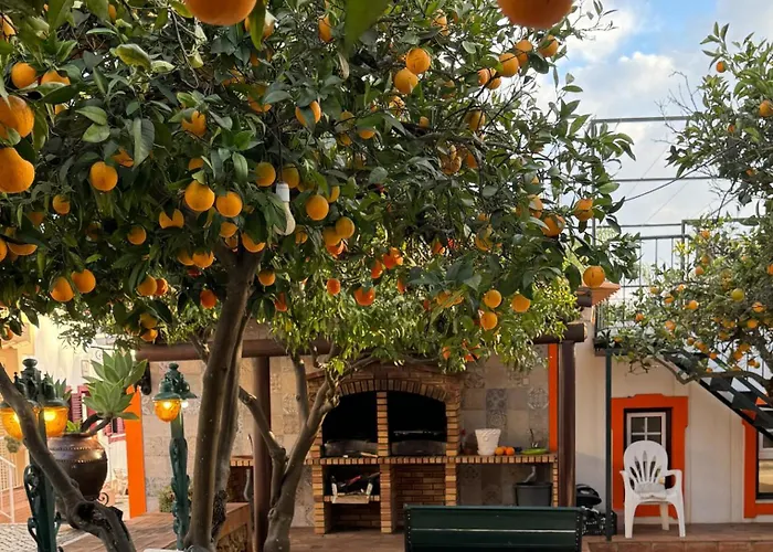 Quinta Jardim Palmeiras, T2 N 8 , Algoz Gospodarstwo agroturystyczne *
