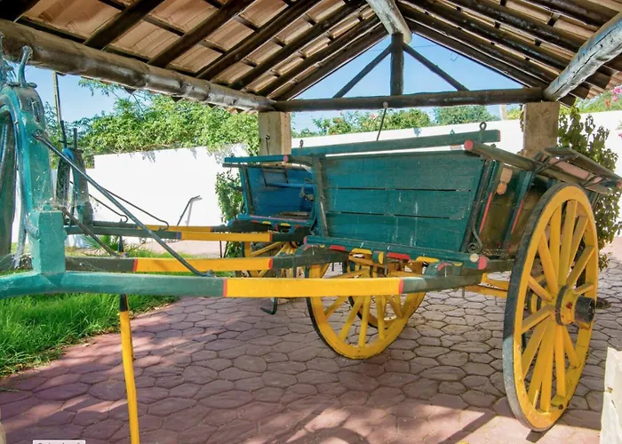 Quinta Jardim Palmeiras, T2 N 8 , Algoz *